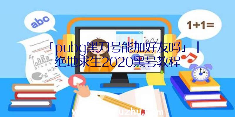 「pubg黑刀号能加好友吗」|绝地求生2020黑号教程